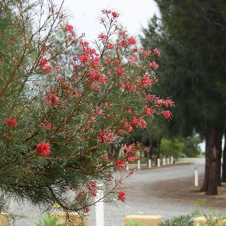 The Heights Bed & Breakfast Acomodação com café da manhã Jurien Bay Exterior foto