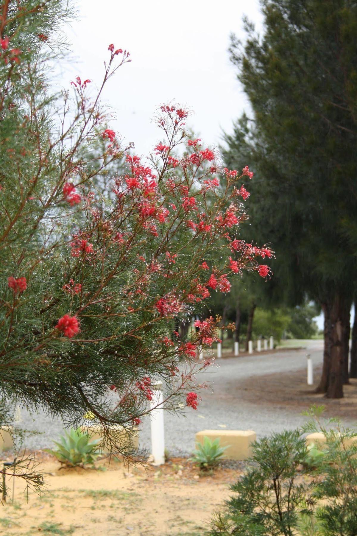 The Heights Bed & Breakfast Acomodação com café da manhã Jurien Bay Exterior foto